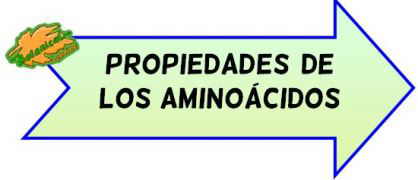 propiedades de los aminoacidos