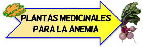 plantas medicinales anemia