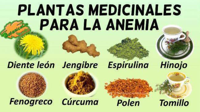 Remedios naturales caseros para la anemia