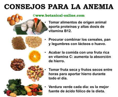 Dieta para la anemia