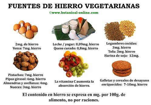 Fuentes de hierro vegetarianas