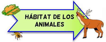 habitat de los animales