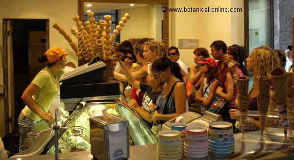 personas comiendo helado