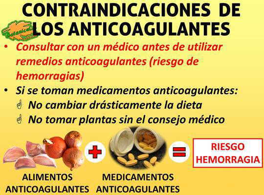 contraindicaciones de las plantas medicinales y medicamentos anticoagulantes para fluidificar la sangre