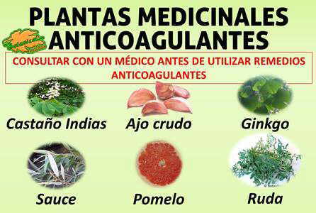 plantas medicinales anticoagulantes para fluidificar la sangre
