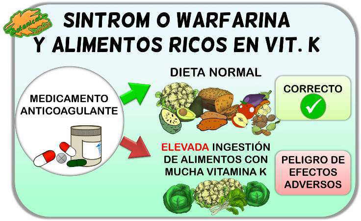 medicamentos anticoagulantes como el sintrom y contraindicaciones con alimentos ricos en vitamina K