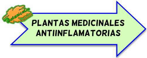 plantas antiinflamatorias
