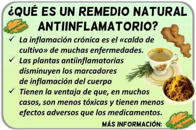 plantas antiinflamatorios naturales remedios