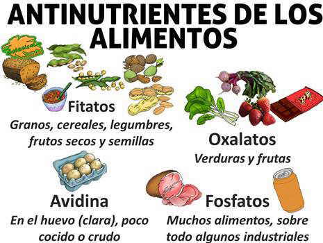 antinutrientes de los alimentos, legumbres, cereales verduras. Fitatos, oxalatos, fosfatos