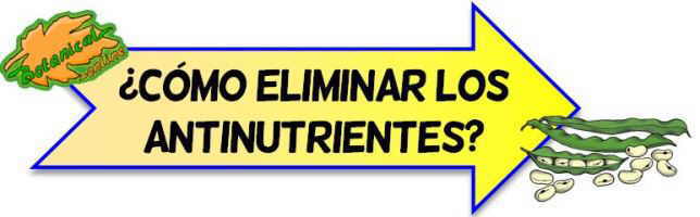 como eliminar antinutrientes