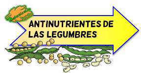 antinutrientes de las legumbres