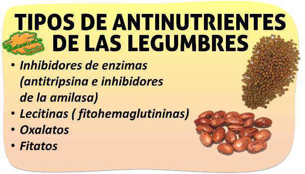 activar semillas, antinutrientes eliminar 