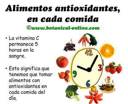 dieta con alimentos antioxidantes, vitamina c en cada comida