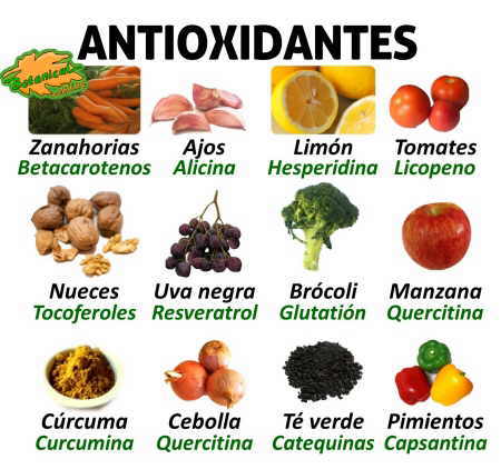 Antioxidantes de los alimentos vegetales, frutas y verduras