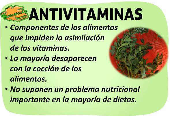 propiedades de las antivitaminas anti vitaminas antinutrientes de los alimentos