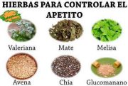 Plantas que Ayudan a Reducir el Apetito: Un Enfoque Natural para el Control del Peso
