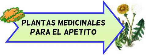 plantas medicinales abrir apetito