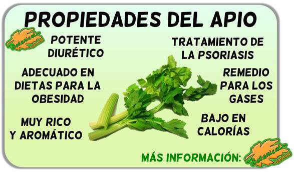 propiedades y beneficios del apio