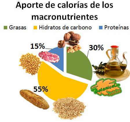 aporte calorias nutrientes dieta