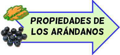 propiedades arandanos