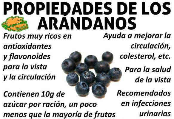 propiedades medicinales, curativas y beneficios de los arandanos