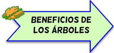 beneficios de los arboles