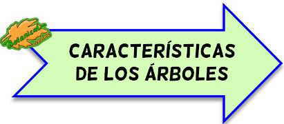 caracteristicas de los árboles