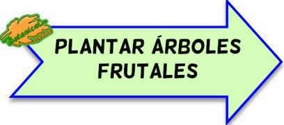 arboles frutales