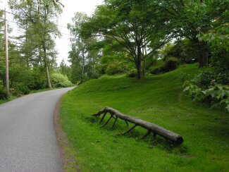 camino principal del Arboretum de Milde