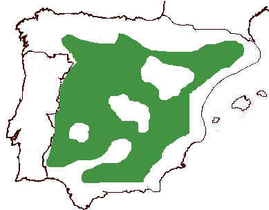 Area de distribución de la carrasca