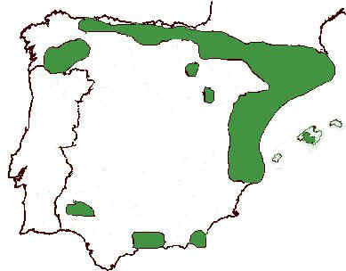 area distribucion encina