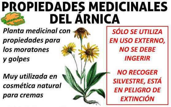 propiedades medicinales del arnica