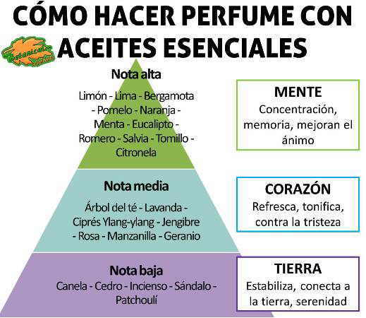 Cómo hacer perfume con aceites esenciales – Botanical-online