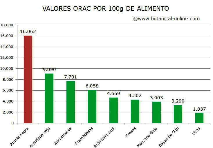 antioxidante aronia