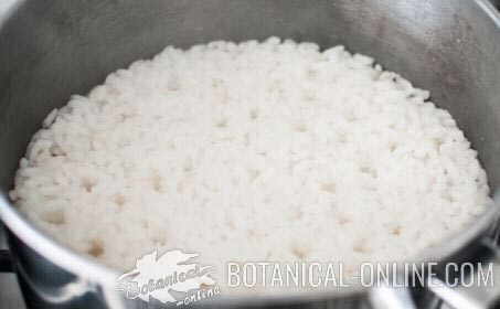 arroz blanco