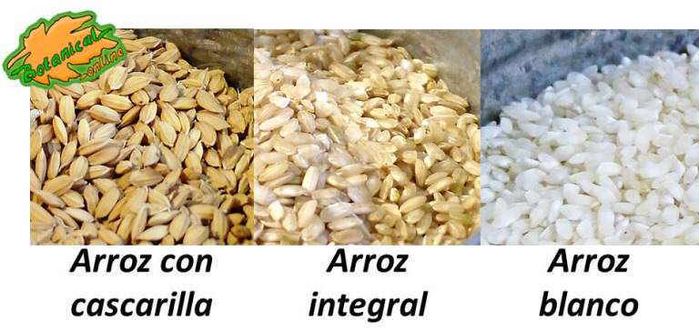 tipos de arroz según su refinamiento