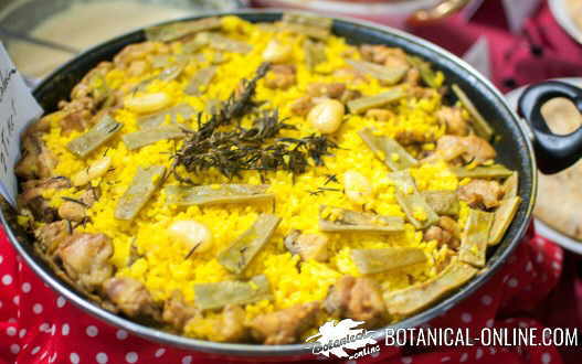 paella arroz