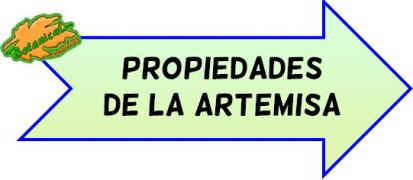 propiedades de la artemisa