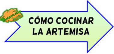 recetas con artemisa