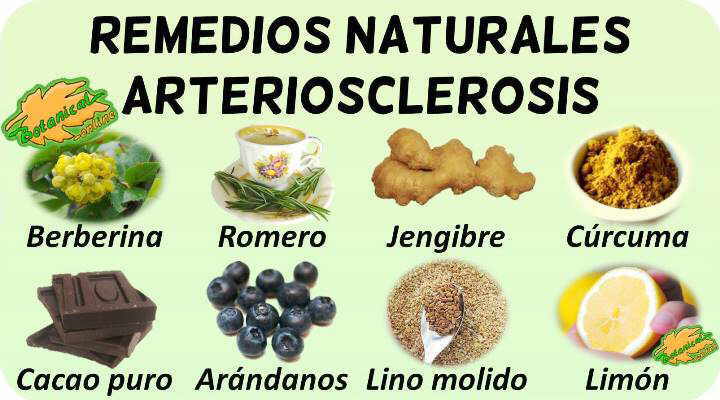 remedios naturales con plantas medicinales para tratamiento de la la arteriosclerosis