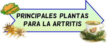 mejores plantas dolor articular