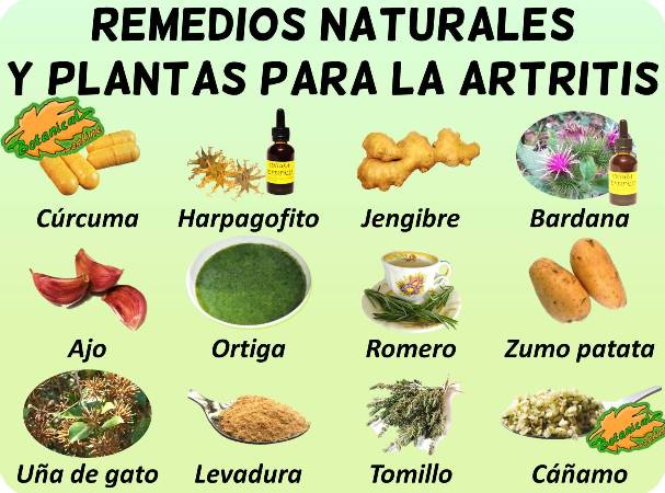 artritis artrosis remedios con plantas medicinales curar tratamiento natural 