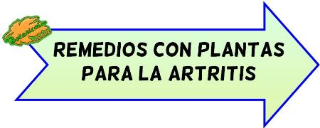 plantas medicinales para la artritis