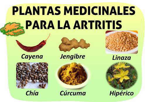 remedios naturales con plantas medicinales para la artritis