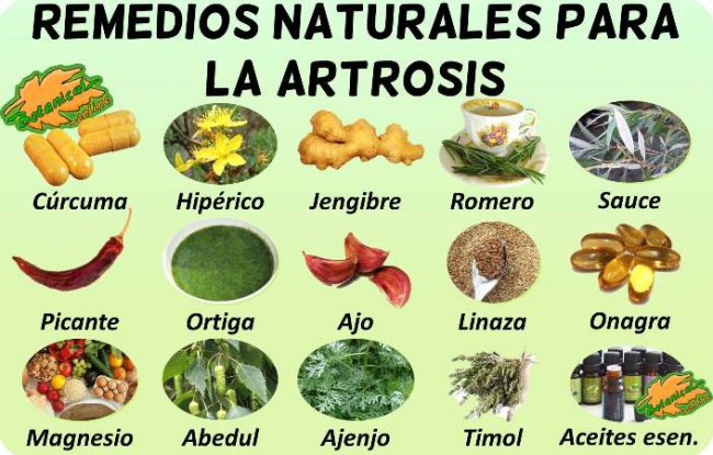 tratamiento natural de la artrosis con plantas medicinales