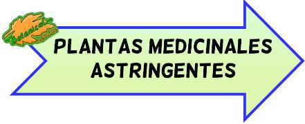 plantas medicinales astringentes