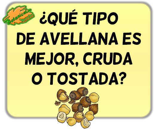 qué tipo de avellana es mejor comprar, cruda natural o tostada