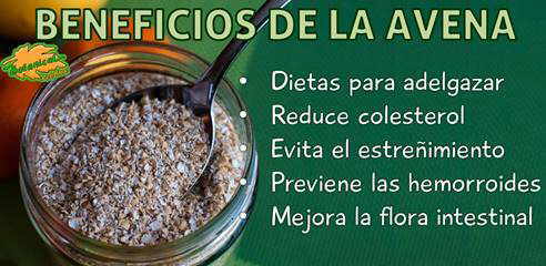 beneficios de la avena