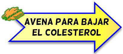 avena para bajar el colesterol