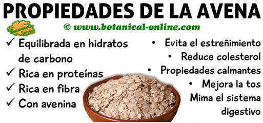 propiedades y beneficios de la avena